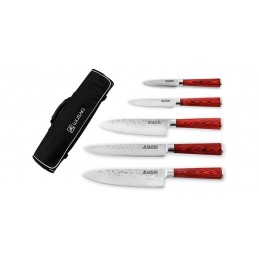 Mallette 5 couteaux japonais Wusaki Pakka