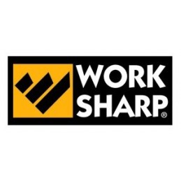 WorkSharp Aiguiseurs Affûteur manuel pro 600-320 - Worksharp Benchstone WSBCH Affutage Aiguisage