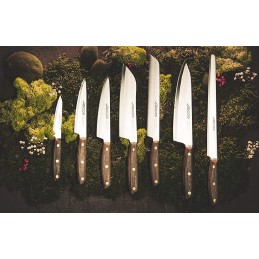 Arcos Couteau à Découper Arcos Nordika - lame 16cm A165900 Couteaux de cuisine