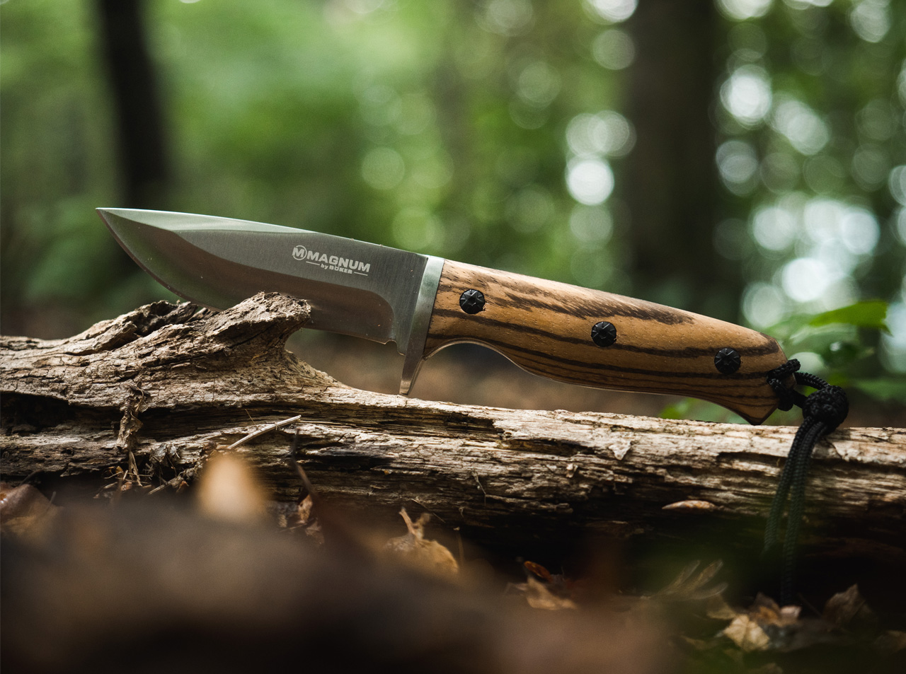 couteau boker chasse
